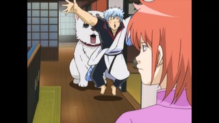 "Gintama" Ginsan dan Sadharu bertukar tubuh