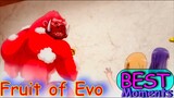 The Fruit of Evolution 2 EP5: Discover the Top Moments from the First Episode!
