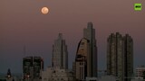 Blood moon | Rare LUNAR ECLIPSE shines over the skies of Argentina