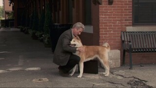 Hachiko A Dog's Story