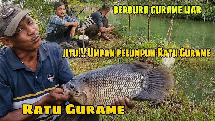 JITU !!!! BERBURU SUNGAI BESAR- SELAMAT KAN RATU GURAME