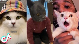 Cute/Funny Animal TikToks to Brighten Up your Day 🥰