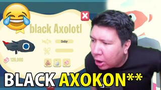 NGAKAK! Momen Bang Windah Dapat Ikan Langka Black Axolotl Tapi Salah Sebut Nama