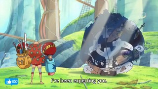 Kuma Protect the Thousand Sunny!