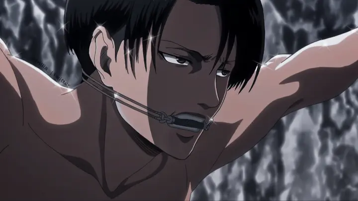 Ackerman levi Levi Ackerman