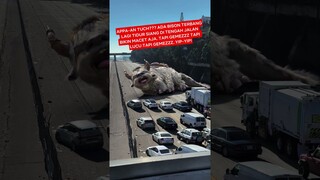 HEBOH! Penampakan Bison Terbang di Jalan Tol | Avatar: The Last Airbender | #Shorts