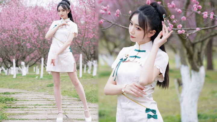 Can the gentle cheongsam lady❀ enter your heart? [Xiaofeng]