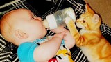 Lucu dan Menggemaskan! Ketika Kucing Oren Menjaga Bayi Sebelum Tidur - Video Kucing dan Bayi Lucu