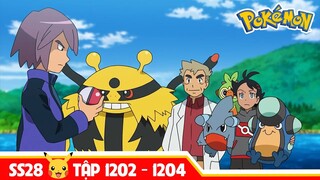 Review Pokemon SS28 TẬP 1202 - 1204 , Nhà Vô Địch Pokemon AloLa