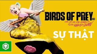 Top 10 Điều Thú Vị Bạn Cần Biết Về Birds of Prey | Ten Tickers