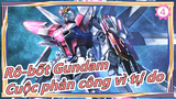 [Rô-bốt Gundam]  Gundam chiến vì tự do| Youtuber Nhật kiểm tra [Video Gundam của Kasamatsu]_4