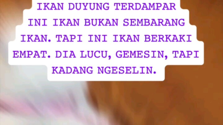 kucing duyung