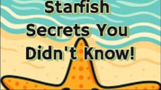 "5 Shocking Starfish Facts!"
