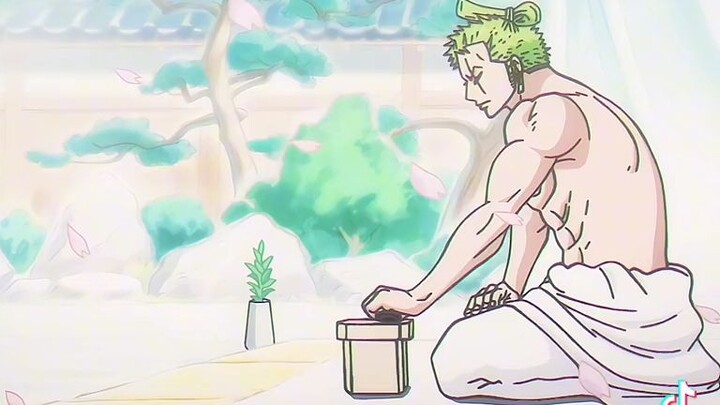 soft ba yang abs mo Zoro🤔