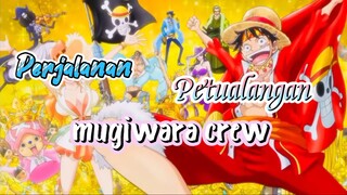 Gimana perasaanmu mengetahui one piece hiatus? [One Piece [AMV]