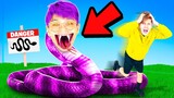 LANKYBOX Visits SNAKE HOTEL!? (CRAZIEST GAME EVER!)