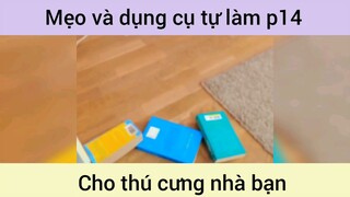 Mẹo và dụng cụ tự làm cho thú cưng p14