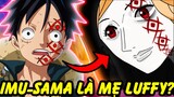 Im- Sama Là Mẹ Của Luffy?| Những Thuyết Âm Mưu Bá Đạo Do Các Fan One Piece Nghĩ Ra