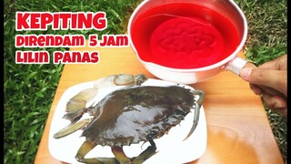 EKSPERIMEN: KEPITING vs LILIN PANAS.. 5 Jam Direndam, lihat apa yang terjadi! #eksperimen