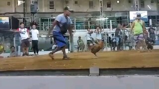 nakadali ung tagalogin n bulik