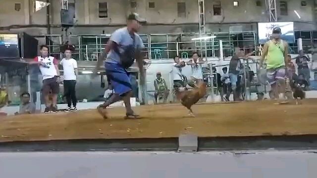 nakadali ung tagalogin n bulik