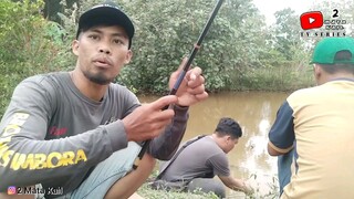 (Micro Fishing) Jackpot Kocolan Gabus‼️Tidak Sempat Terekam