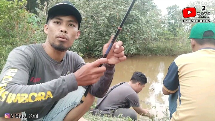 (Micro Fishing) Jackpot Kocolan Gabus‼️Tidak Sempat Terekam