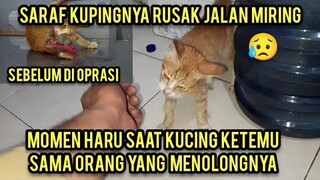 Alhamdulillah Setelah Di Oprasi Kucing Sakit Prolaps Parah Langsung Meluk Dan Berterima Kasih..!