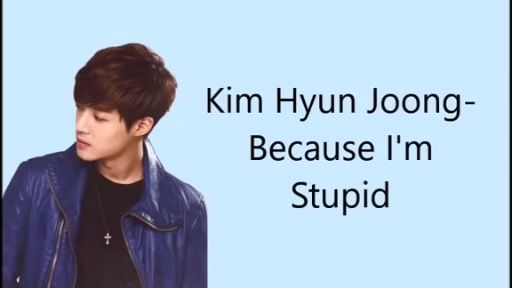 SS501 - Because I'm Stupid lyrics [EngRom]