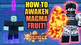 How To Awaken Magma Fruit Step by Step in A One Piece Game