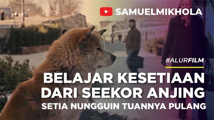 KISAH NYATA! ANJING YANG SETIA MENUNGGU TUANNYA 10 TAHUN DI STASIUN!_ALUR CERITA FILM