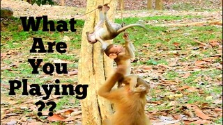 Ah..​Ah..!,​ What​ Are​ You Playing Babies, I'm Glad to See You Happy All Babies, Baby Monkey Play