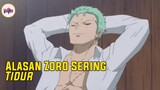 Ini Dia Alasan Mengapa Zoro Sering Tidur 😱😱