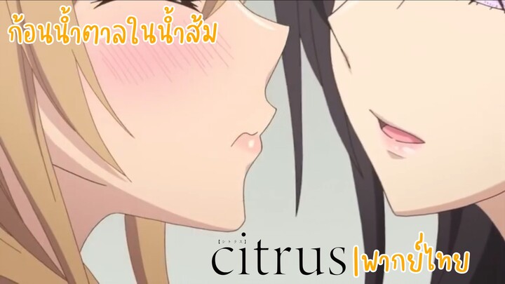 ก้อนน้ำตาลในน้ำส้ม[Citrus|พากย์ไทย]