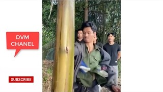 TIKTOK | CÔNG FU VÕ THUẬT ĐỈNH CAO | DVM Chanel