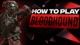 How to Play Bloodhound in Season 13 - Apex Legends Tips & Tricks