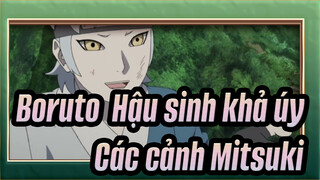 [Boruto: Hậu sinh khả úy] Các cảnh Mitsuki_B