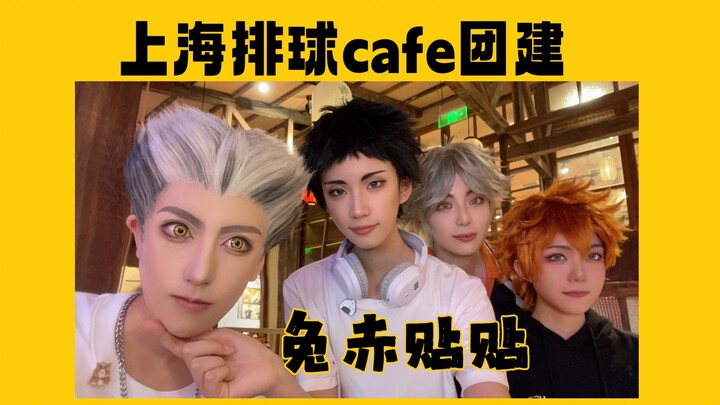 【排球少年】周末和亲友去排球cafe贴贴啦（兔赤含量过高）