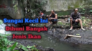 Mancing Di Spot Sungai Kecil Yang Banyak Ikannya