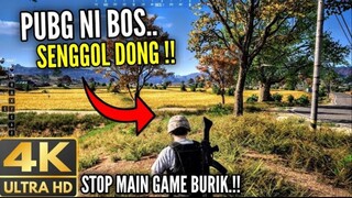 CUMA GUA YANG BERANI UPLOAD VIDEO INI‼️..SOLO SQUAD PART13 - PAKE GRAFIK EXTREME