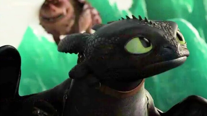 How to Train Your Dragon: Toothless Boy challenged the Black Dragon King, but he turned defeat into 