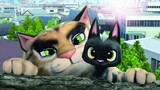 Rudolf the Black Cat 2016 Watch Full Movie : Link In Description