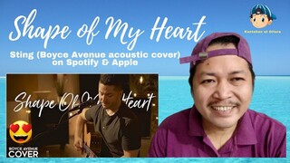 Shape of My Heart - Sting (Boyce Avenue acoustic cover) on Spotify & Apple Pinoy Reaction Video 😍