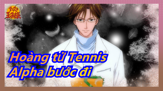 Hoàng tử Tennis|[F4/Super Handsome] Đội trưởng đội Alpha bước đi（Flesh)