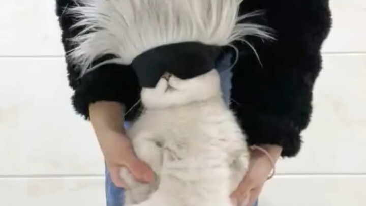 I must be watching the original Gojo Satoru
