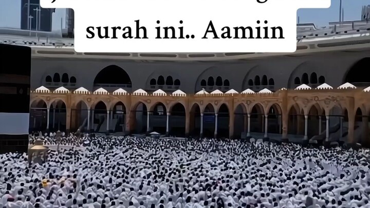 Aminn