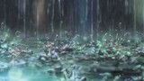 [Làm sạch ống kính] Ngày mưa (Ảnh đầu tiên)