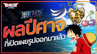 ONE PIECE : ผลปีศาจ ที่เปิดเผยรู้ร่างออกมาแล้ว