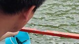 ปล่อยปลาไหล8ตัว วันที่22 พฤษภาคม 2567 วัดคุณหญิงส้มจีน