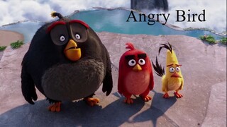 The Angry Birds Movie (2016) Hindi Dubbed